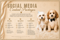 Social Media Content Packages