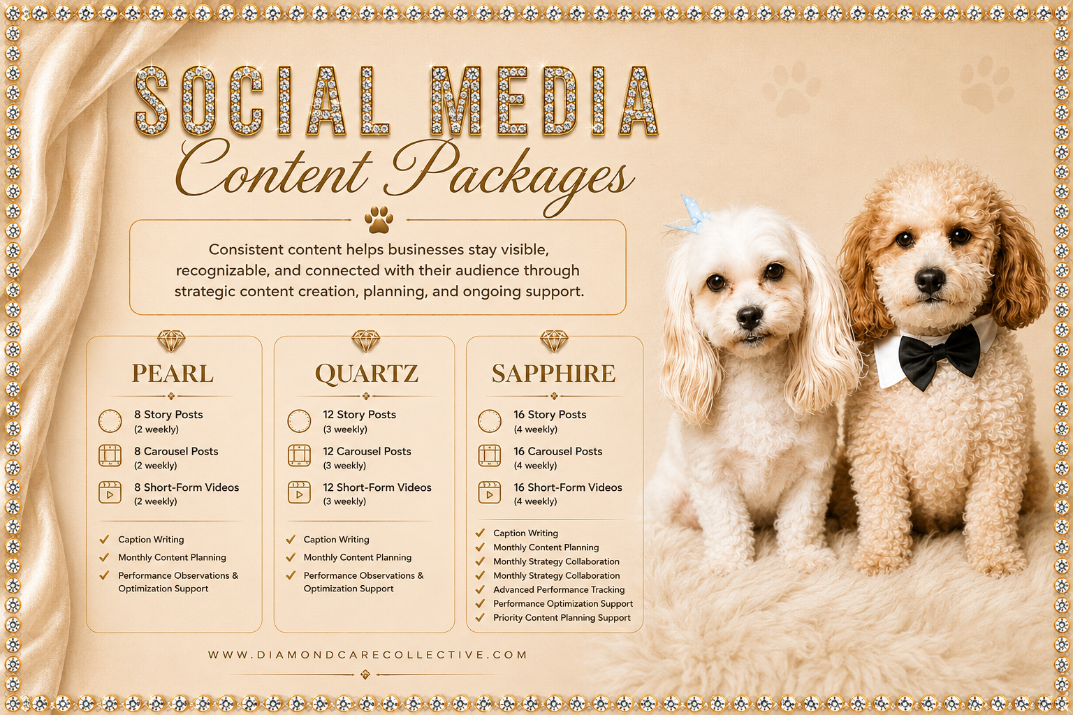 Social Media Content Packages